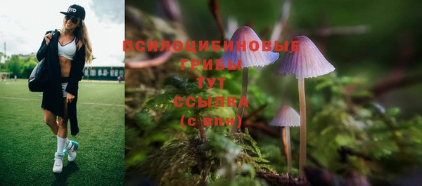 спайс Верхний Тагил