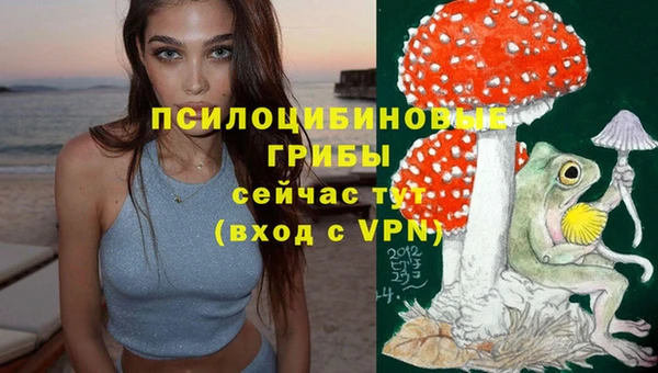 тгк Верея