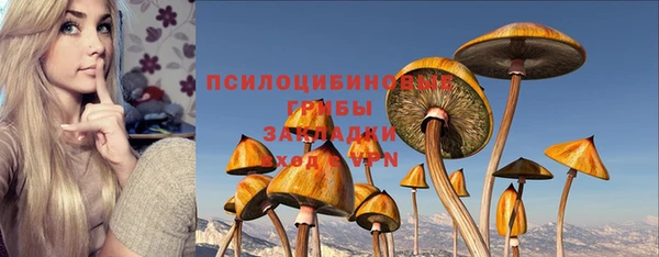тгк Верея